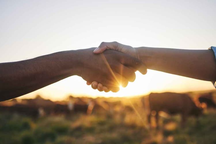 USDA Farmer Bridge Assistance Program Moves Forward With Rates and Timelines
