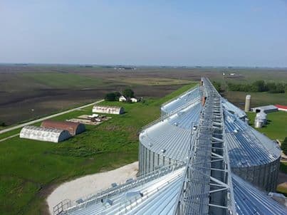 Extension Expert: Check For Soil, Crop Health Before Seeding Forages