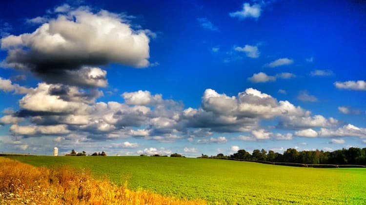 Family Farms are the Focus of New Agriculture Census Data