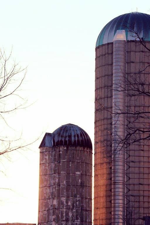 Integrated Crop Management - Pay Attention to Stored Grain