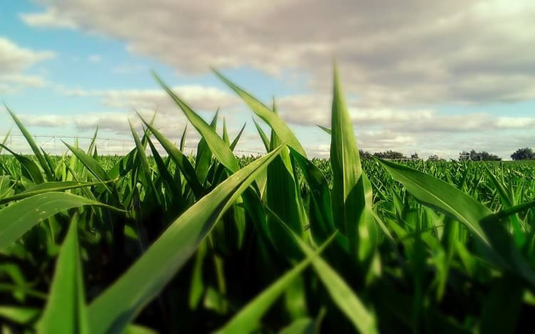 Are You USDA Conservation Complaint?