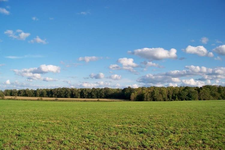 USDA Extends ARC and PLC Deadlines