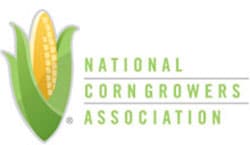 NCGA Launches Fields-of-Corn Photo Contest with New Conservation Category