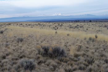 Additional 800,000 Acres Dedicated to Conservation Reserve Program for Wildlife Habitat, Wetlands
