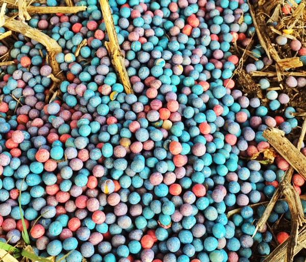 Farm Life: Why Do Farmers Use Seed Treatments?