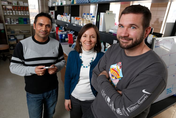 ISU Scientists Identify A Seed Treatment To Curtail Soybean Sudden Death Syndrome