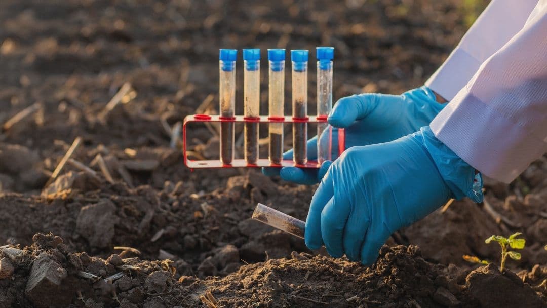 soil testing