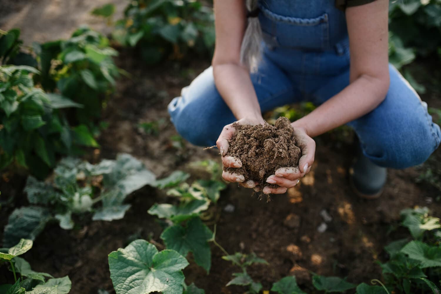 Close up of female famer hands holding soil outdoors at community farm