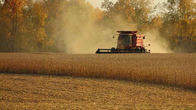 Will US Soybeans Be Naughty or Nice?