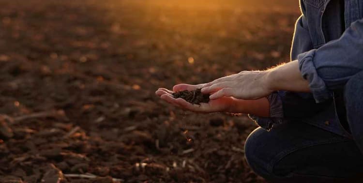 USDA Launches Regenerative Pilot Program for Farmers