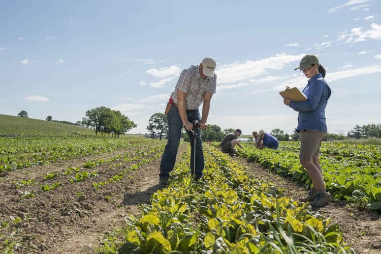 Why Carbon-Rich Soils Are Revitalizing Farms