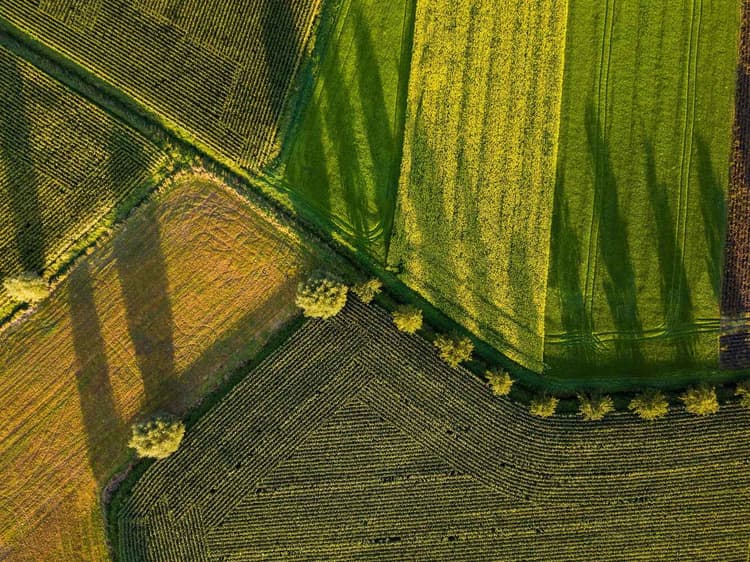 How to Calculate Fair Cash Rent for Farmland in 2026