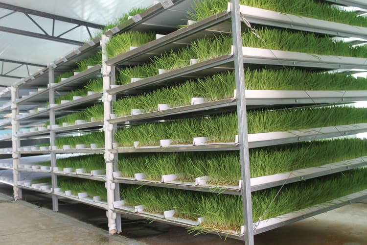 Newly-Designed FodderPro System Now Available