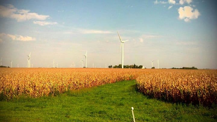 New Research: Nutrient Inputs and Long-term Corn Yield Sustainability