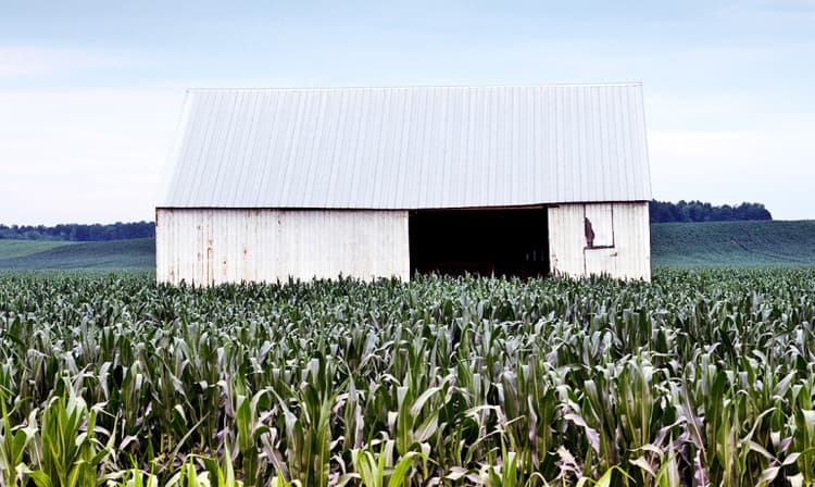 Carbon Cycle Shifts As Corn 'Explodes'